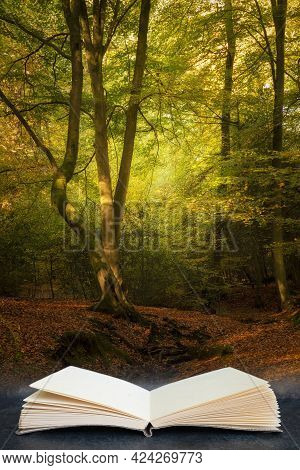 Beautiful Autumn Fall Colorful Vibrant Forest Landscape Coming Out Of Pages In Imaginary Book