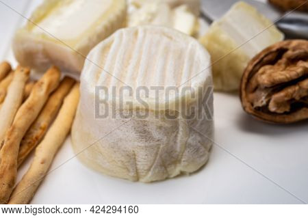 Cheese Collection, Soft Goat French Cheese With Mold Crottin De Chavignol Produced In Loire Valley