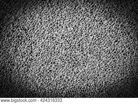 Bone Spongy Structure Close-up, Healthy Texture Of Bone. Selective Focus
