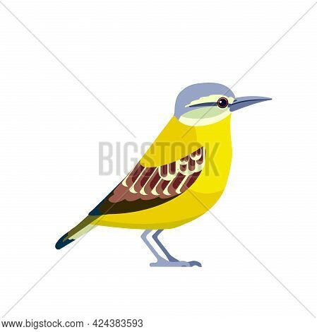Yellow-breasted Chat Is A Large Songbird Found In North America And Is The Only Member Of The Family