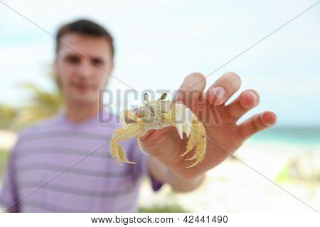 Close up della mano dell'uomo tenendo granchio