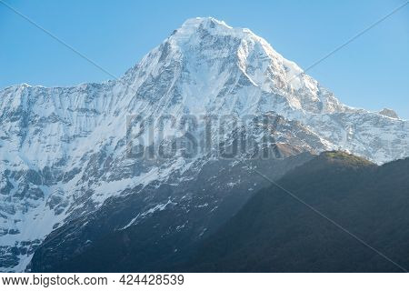 Beautiful View Of Mt.hiunchuli (6,441 Metres) View From Chomrong Village On The Way To Annapurna Bas