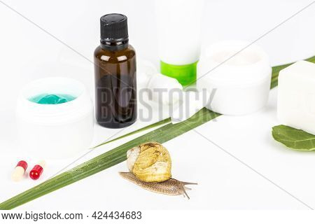 Cosmetics Organic Made With Slaver Of Snail, Very Good For Skin And Health And Fashion In Europe.pot
