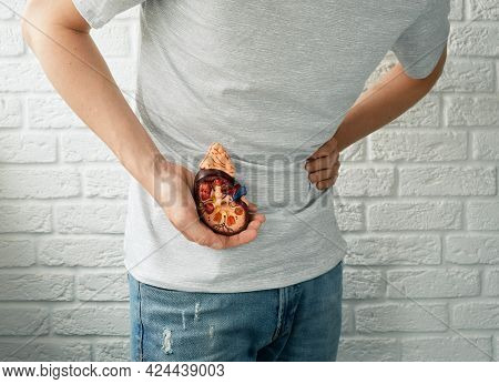 Kidney Diseases. Man Suffering From Pain With Inflammation And Kidney Stones