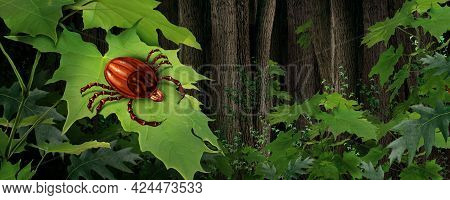 Tick Insect Ain A Forest And Parasite Risk In The Wilderness As A Scary Bug Mite As A Danger For Lym