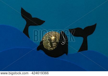 Bitcoin Whale Concept. Large Holders Of Coin Manipulated Currency Valuations