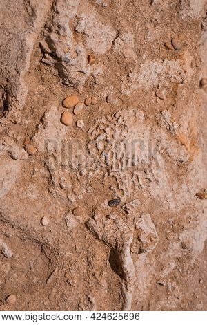 Texture Of Cliffs At Hive Beach, Burton Bradstock, Bridport, Dorset, England, United Kingdom.