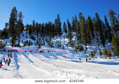 Dobrodružný Park Mountain sáňkování, oblast Lake Tahoe, Kalifornie: Rušný den v zimním období - Janua