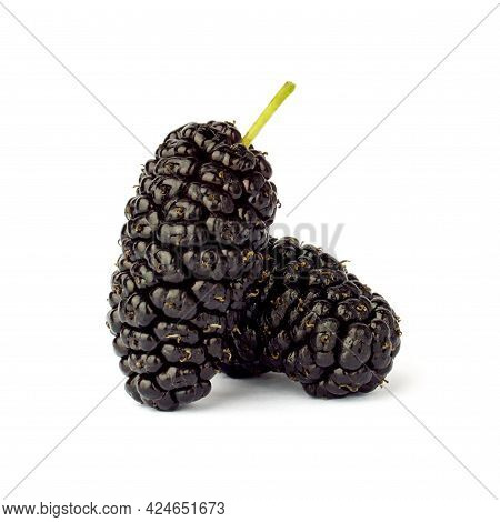 Two Mulberry Berries Isolated On White Background. Black Mulberry