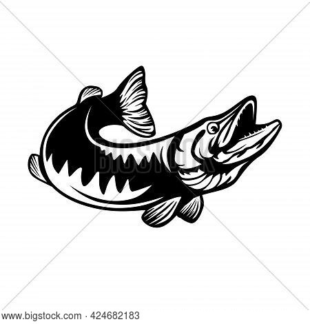 Pike Fishing Emblem. Pike Fish Logo Vector. Outdoor Fishing Background Theme. Angry Fish Logo.