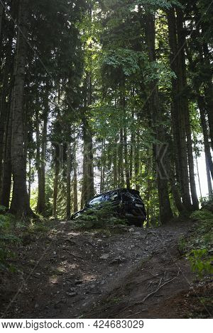 Amazing Off-road Destinations. The Car Stands On A Hillock In The Forest, Surrounded By High Trees. 