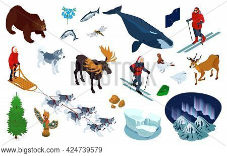 Alaska Sea Ice Grizzly Bear Pole Totem Northern Lights Dog Sledding Nordic Skiing Isometric Set Vect