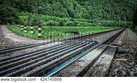 Landscape Of A Railway Crossing In A Mountain Forest