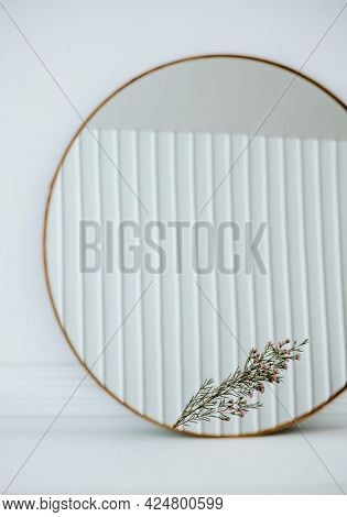 Reflection of pink waxflower in a mirror