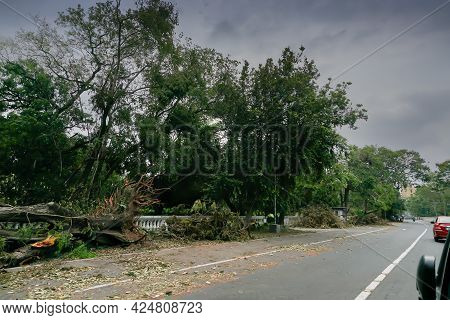 Super Cyclone Amphan Uprooted Tree Which Fell And Blocked Road Partially. The Devastation Has Made M
