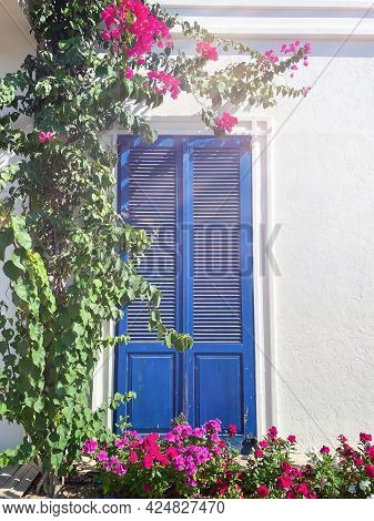 Bodrum, Turkey. Pink Bougainvillea Flowers And Old Blue Door On White House In Bodrum.