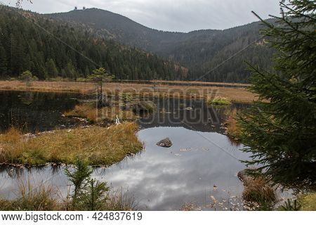The Lake Arber In Fall, Forest Arount