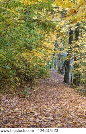 A Little Walkway Between Schwandorf And Fronberg In Bavaria, Called Schokoladenwegerl