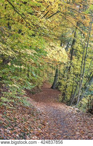 A Little Walkway Between Schwandorf And Fronberg In Bavaria, Called Schokoladenwegerl