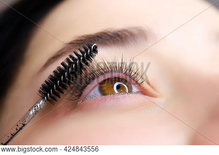 Close-up Of The Model\'s Eye With A Curl Of Cilia The Work Is Done Lamination Of Eyelashes The Maste