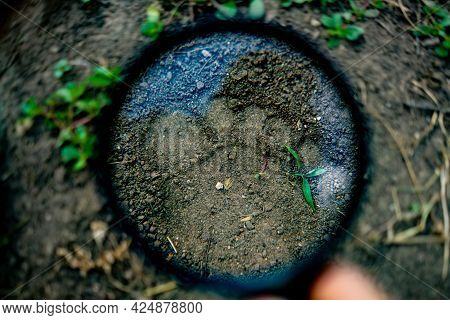 Hand Holding A Magnifying Glass Searching For A Footstep Track On The Ground, Crime Invetigations