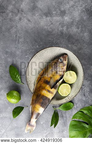 Raw Fish Sea Bass Or Lingcod And Seasonings For Cooking It On A Gray Background Top View, Copy Space