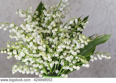 Bouquet Of May Lilies Of The Valley On A White Background