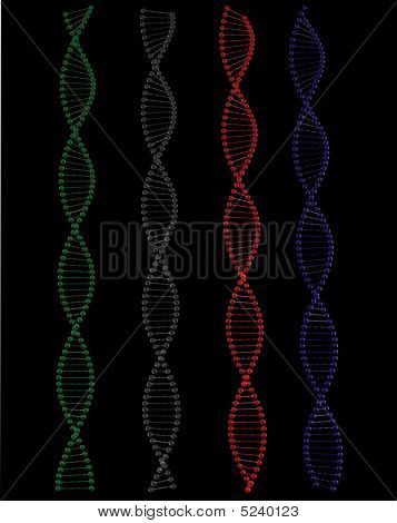 Coputer Generated Model Of Dna