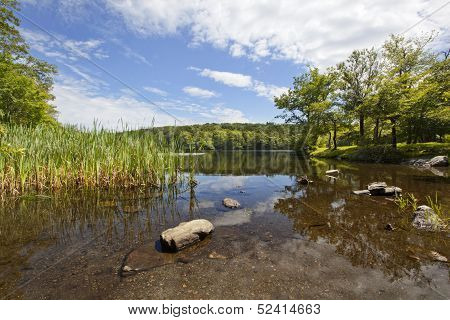 Berry Pond