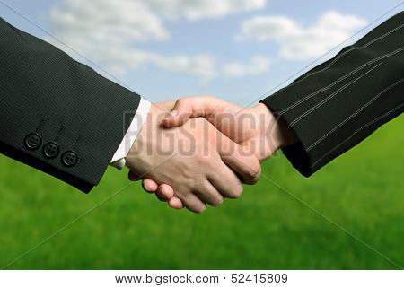 business hand shake