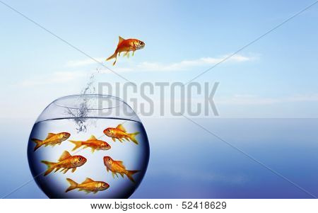goldfish jumping out of the water from a  crowded bowl