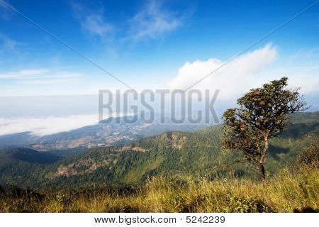 Doi Intanon, der höchste Berg in thailand
