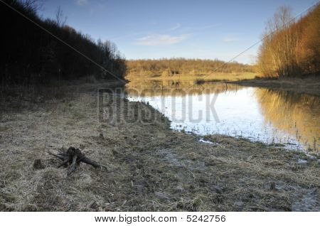 Muddy See