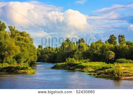 View Of A River And The Forest