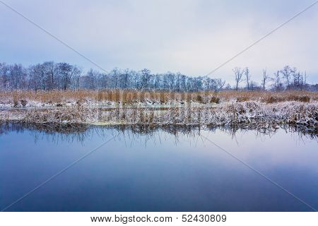 View On The Bog. Grass And Water.