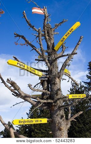 km sign on a tree in Murau in Alps