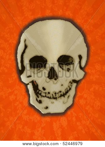 Illustration Of A Halloween Skull