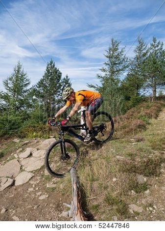 Mountain Biker Riding Trails In Wales