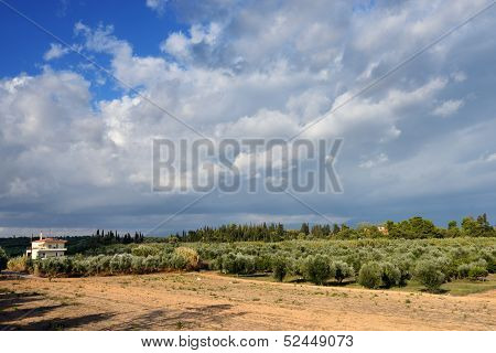 Greece, Rural Landscape