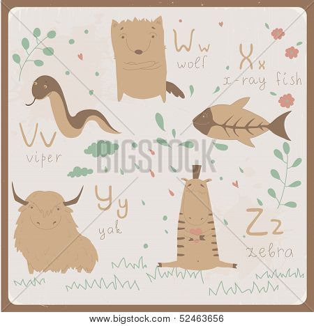 Cute zoo alphabet in vector . V, w, x, y, z letters.
