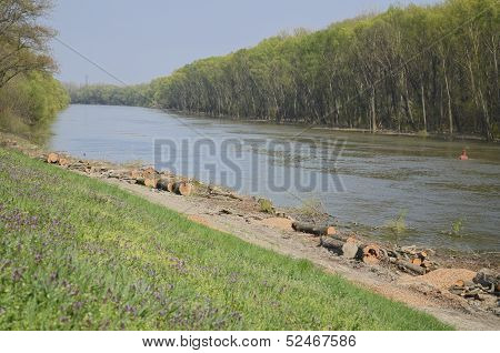 River Bank After Wood Cutting