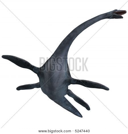 Elasmosaurus