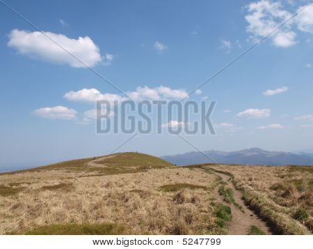 Pré alpin dans les Bieszczady