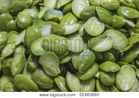 Parkia Speciosa Background