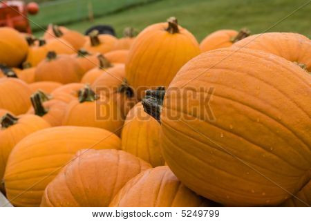 Calabazas