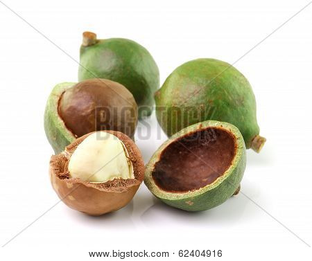 Macadamia Nuts On White Background