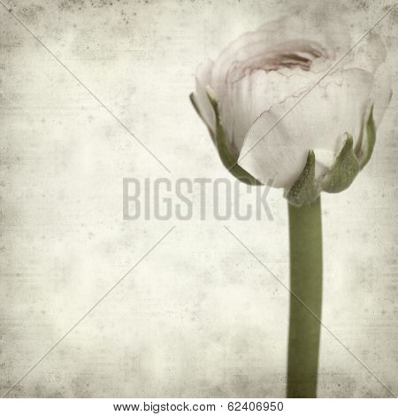 Textured Old Paper Background