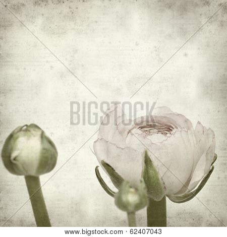 Textured Old Paper Background
