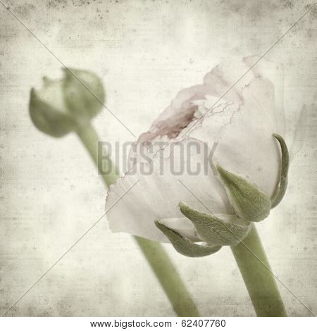 Textured Old Paper Background
