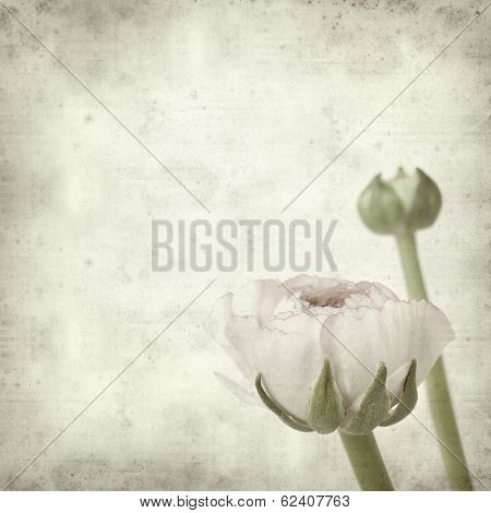 Textured Old Paper Background